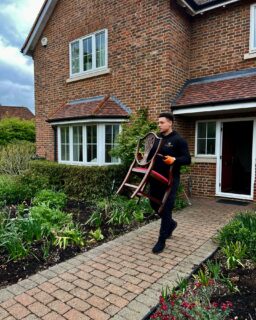 Long weekend completed! 😍 While most have been relaxing, we’re still keeping things moving. 🚚📦🏡

Bank Holiday or not.. we don’t stop working 💫

Get in touch for a free removal quotation 😀
📞 01787 209660
📱 07438 889822
📧 Info@midasmovinggroup.co.uk
🌐 www.midasmovinggroup.co.uk

#EssexRemovals #SuffolkRemovals #LondonRemovals #removals #MovingMadeEasy #HomeMoving #OfficeRelocation #SecureStorage #ProfessionalRemovals #StressFreeMoves #AffordableRemovals #TrustedRemovals #HouseRemovals #BusinessMoves #FurnitureRemovals #LocalRemovals #NationwideRemovals #MovingTips #MovingDay #PackingServices #StorageSolutions